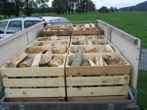 Lieferung mit Autoanhänger